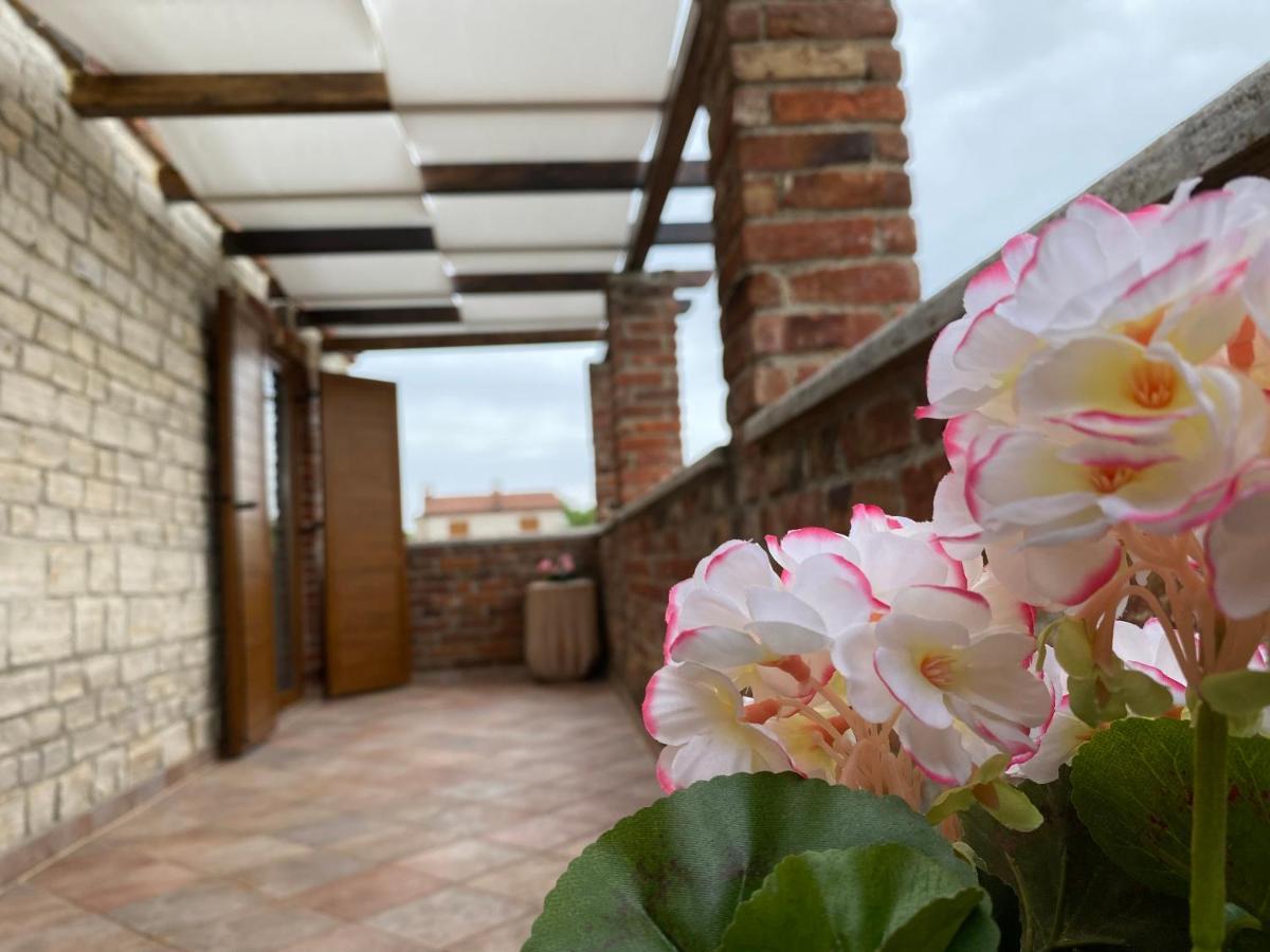 Paradise Villa Cassonni Istria 4 Stars Butkovići Zewnętrze zdjęcie